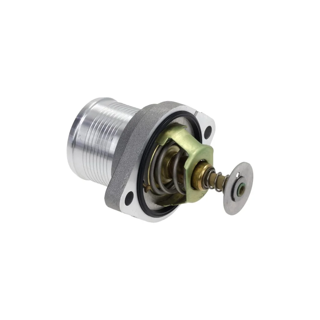 Termostat 6141299