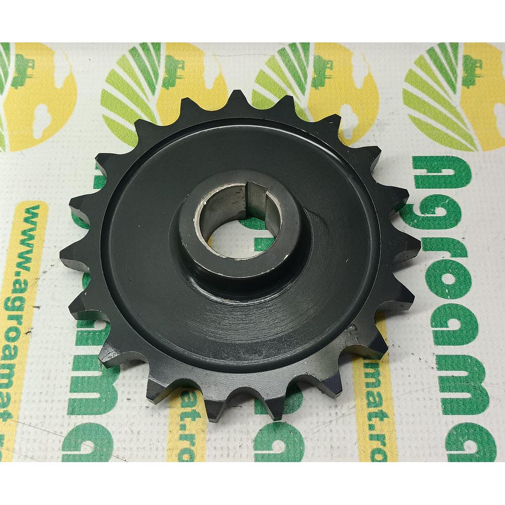 Pinion Z-19