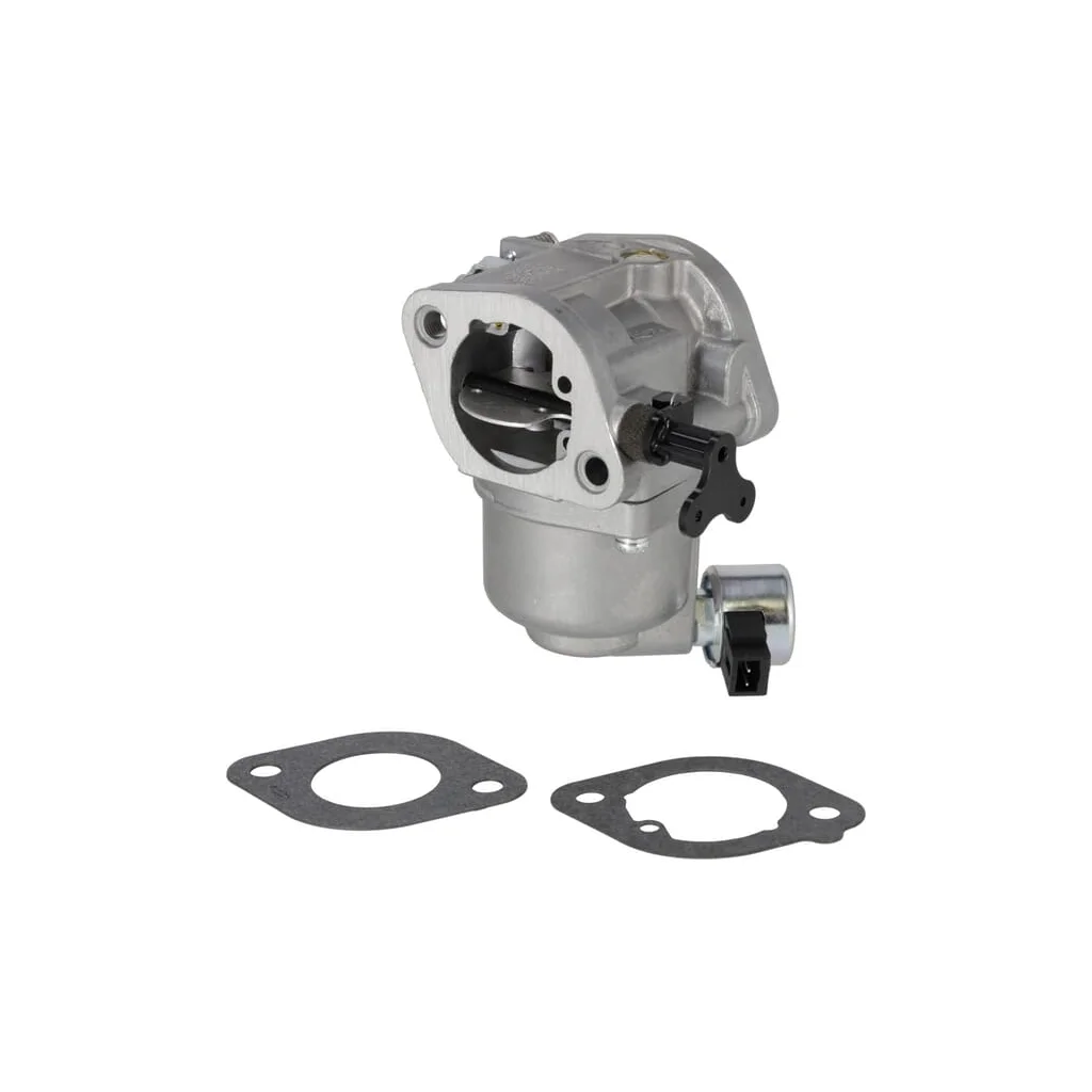 Carburator 596033