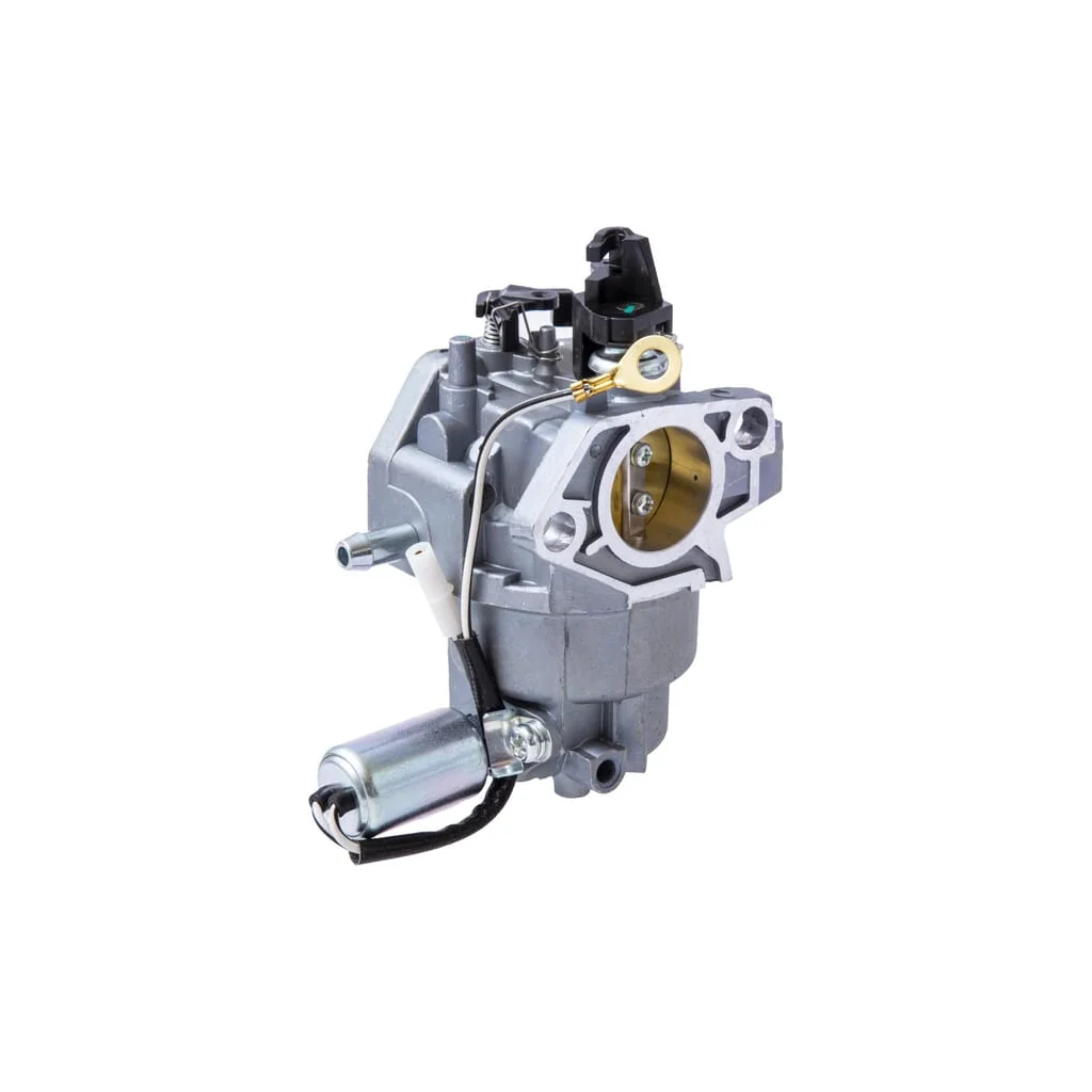 Ansamblu carburator 65105149