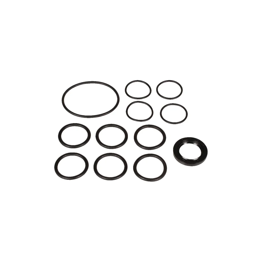 Set piese de rezervă pompă Bertolini 639880973