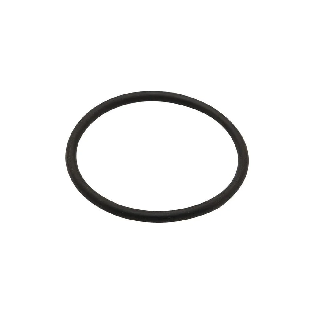 O-ring 7000405936