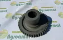 Pinion Cutie Z-44/21 775735