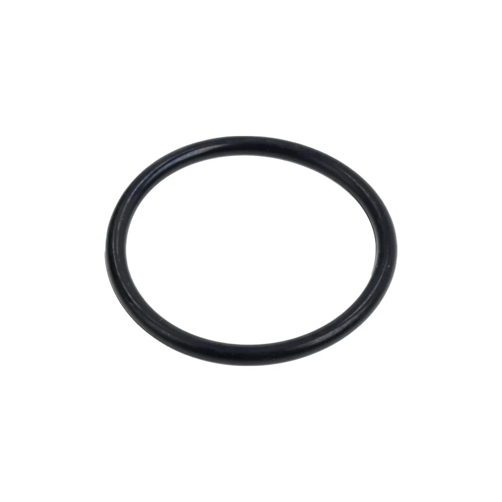 O-ring 7009311320