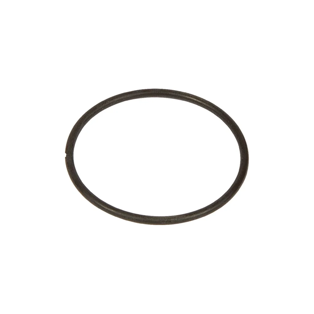 O-ring 71202070480