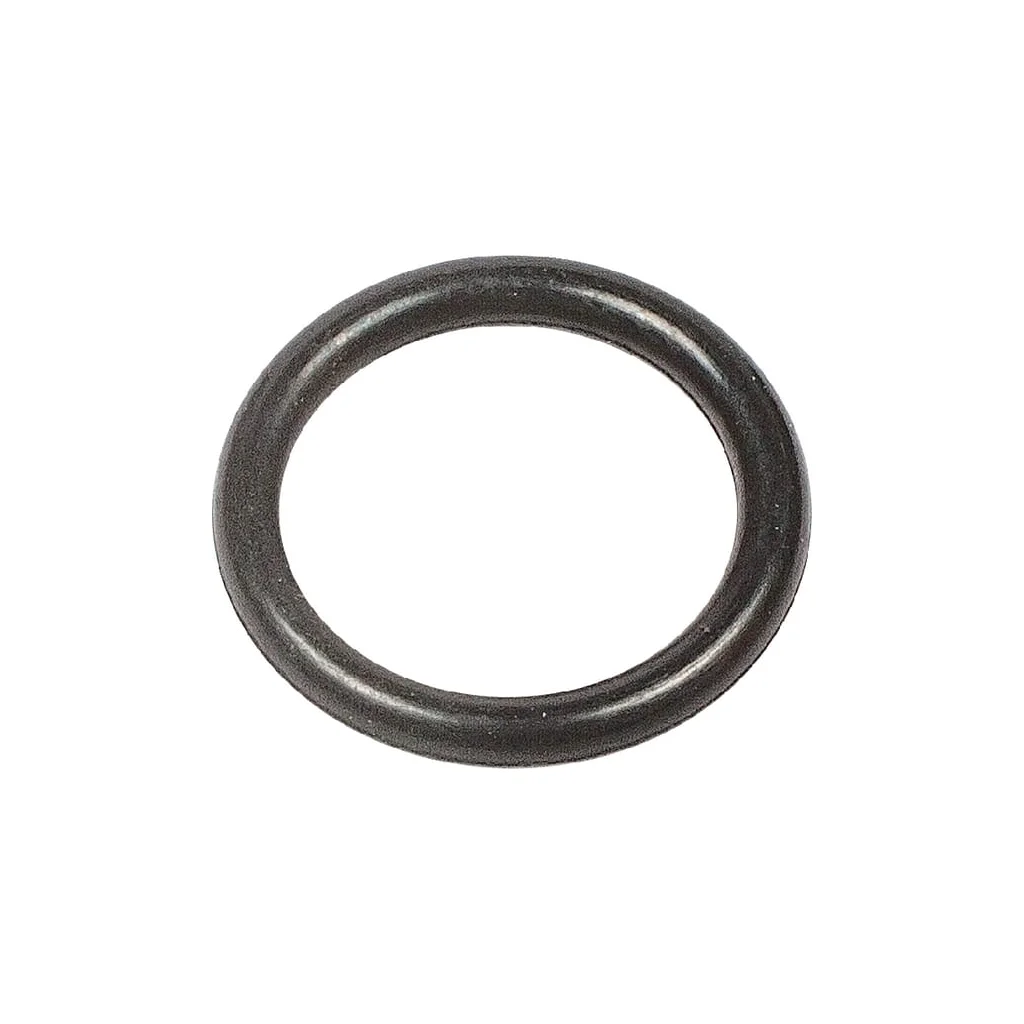 O-ring 71202074750