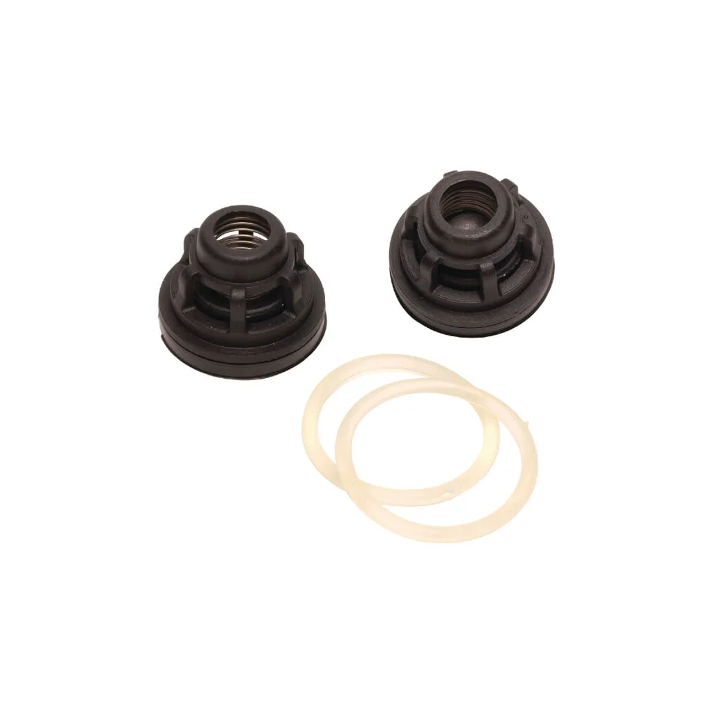 Set supapă pompă pentru 1203, 1303 și 463 750131AKY