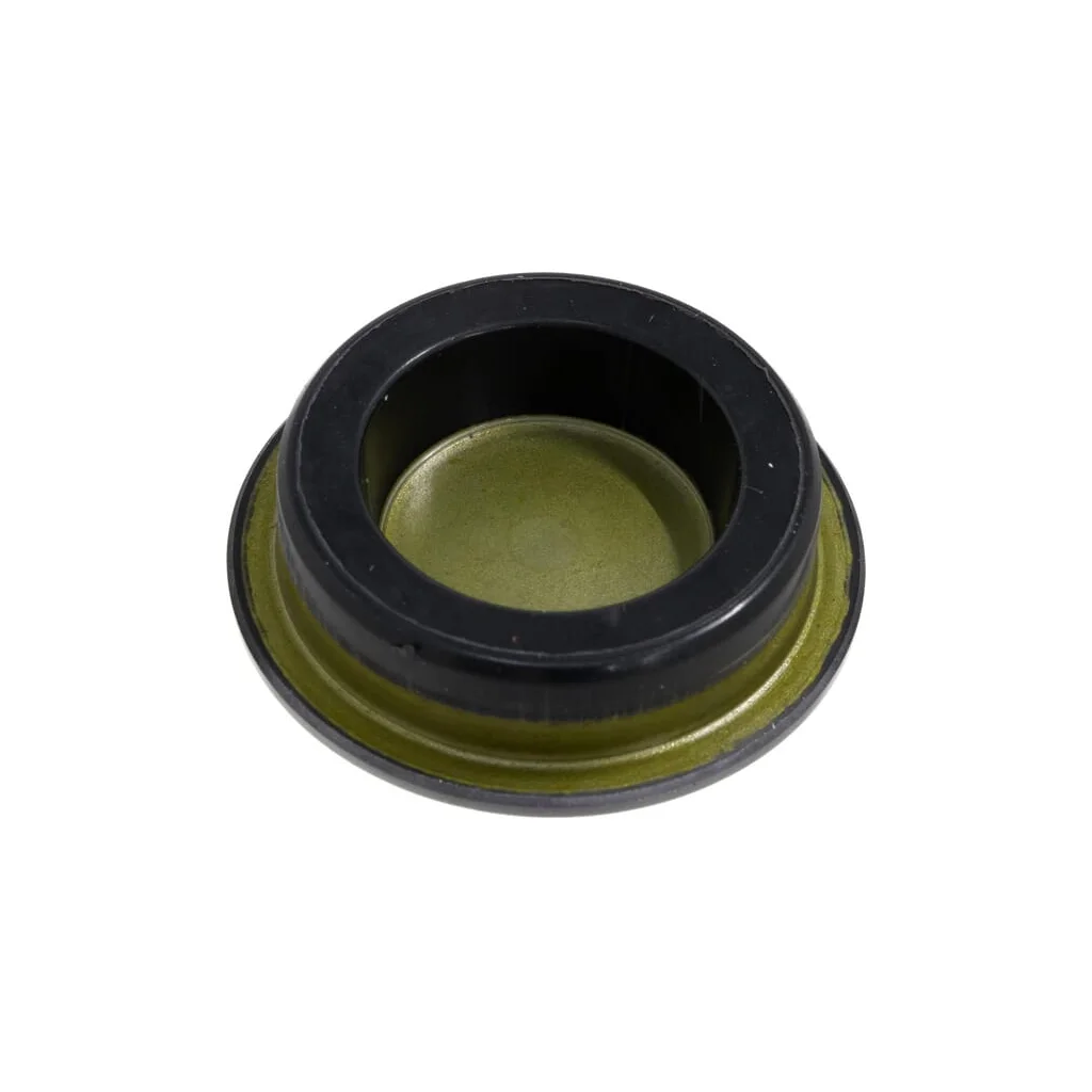 Plug, Hole 80042VK1013
