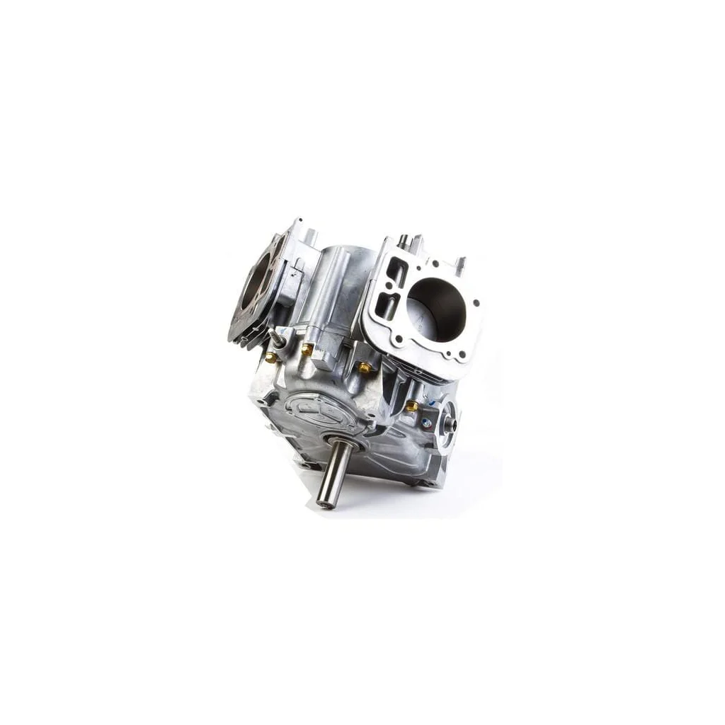 Bloc scurt model 44Q7 Briggs &amp, Stratton 797093A
