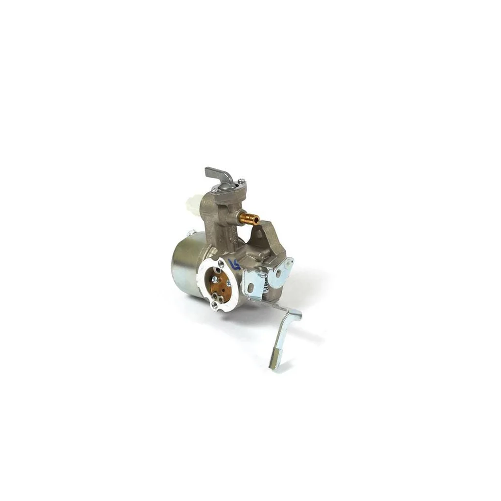 Carburator 796447