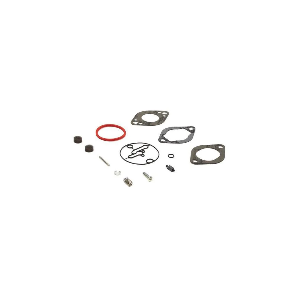 Kit reparație carburator 796137