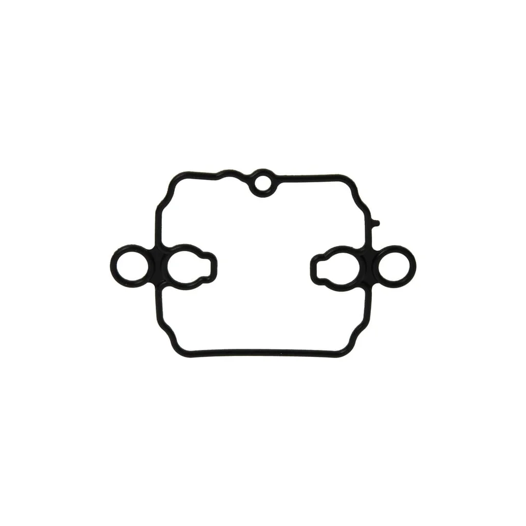 Garnitură carcasă flotor 809645