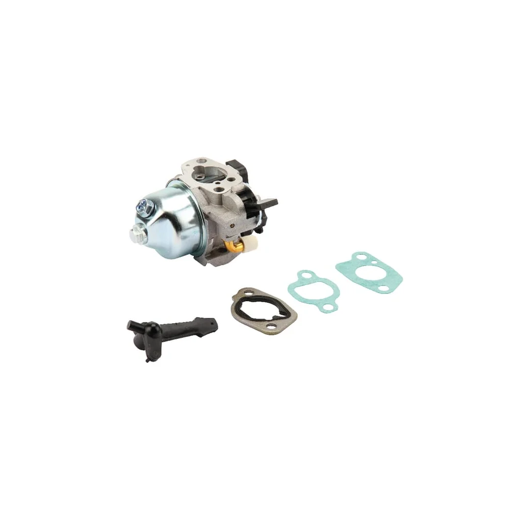 Carburator 797283