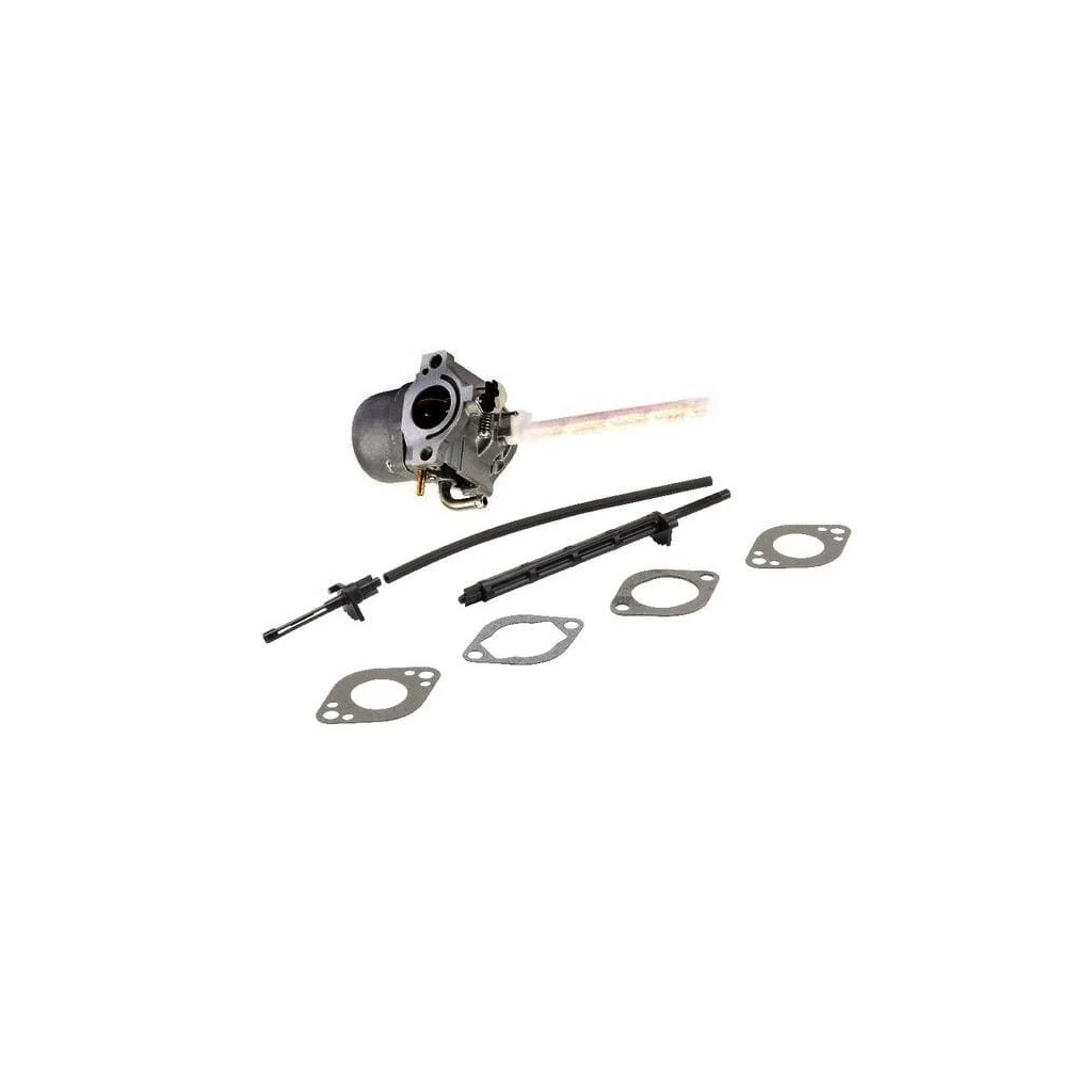 Carburator 796122