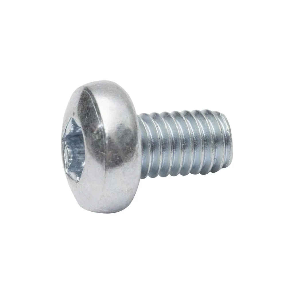 Șurub cu cap bombat 6x10 Torx DIN7985 7985610TX100