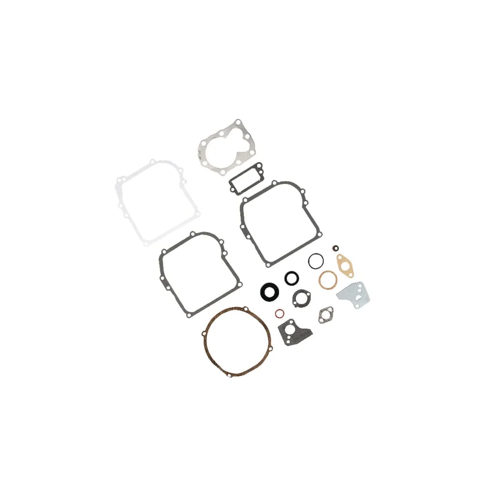 Set garnituri motor 795971