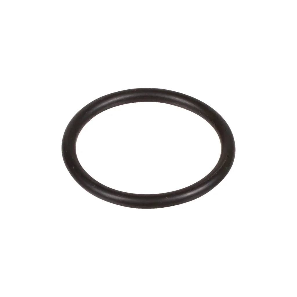 O-ring 25,07x2,62mm 70 shore EPDM negru Bertolini 803205002