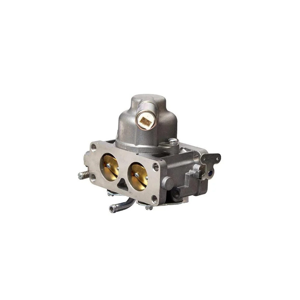 Carburator 796258