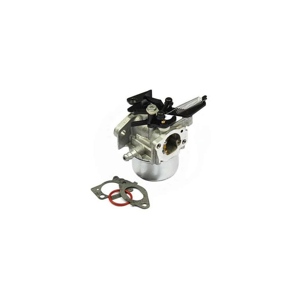Carburator 796608