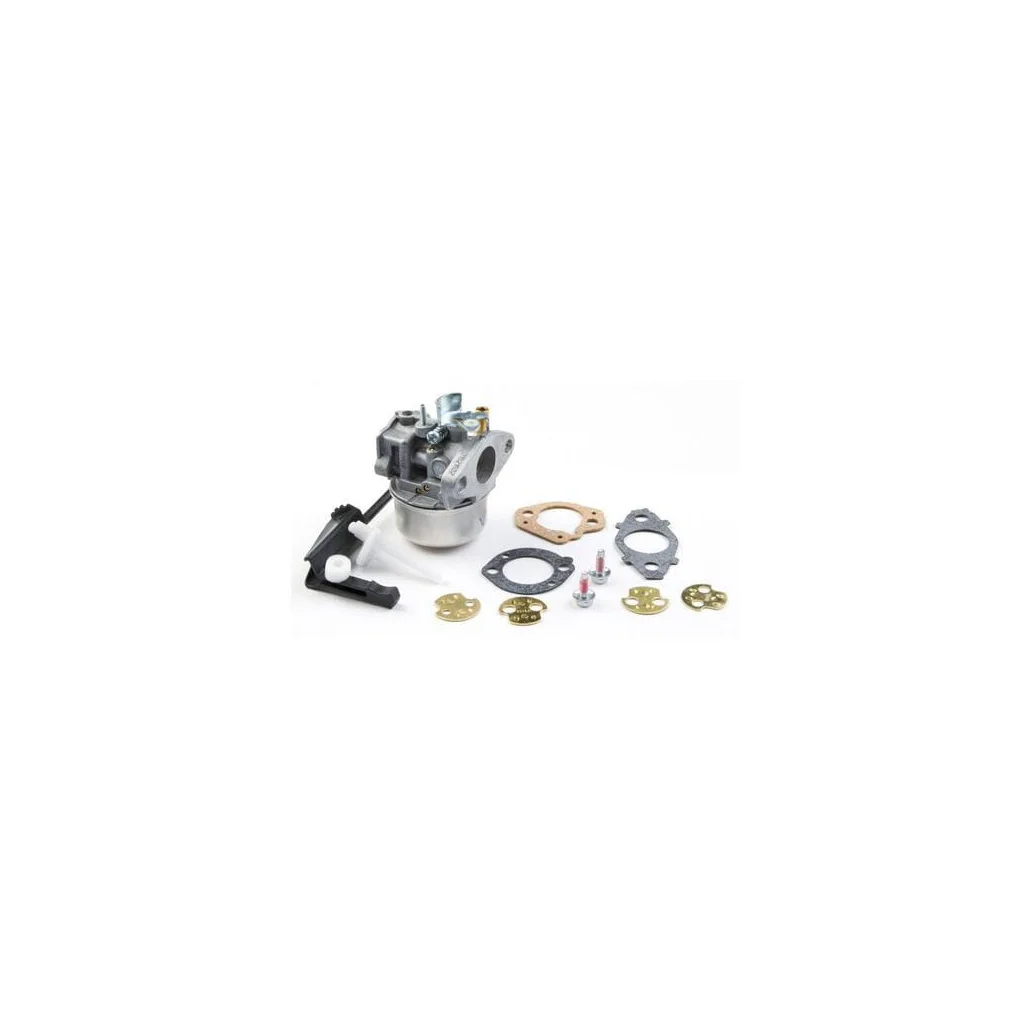 Carburator 798654