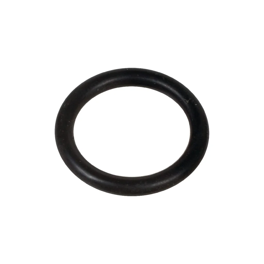 O-ring 8113170706