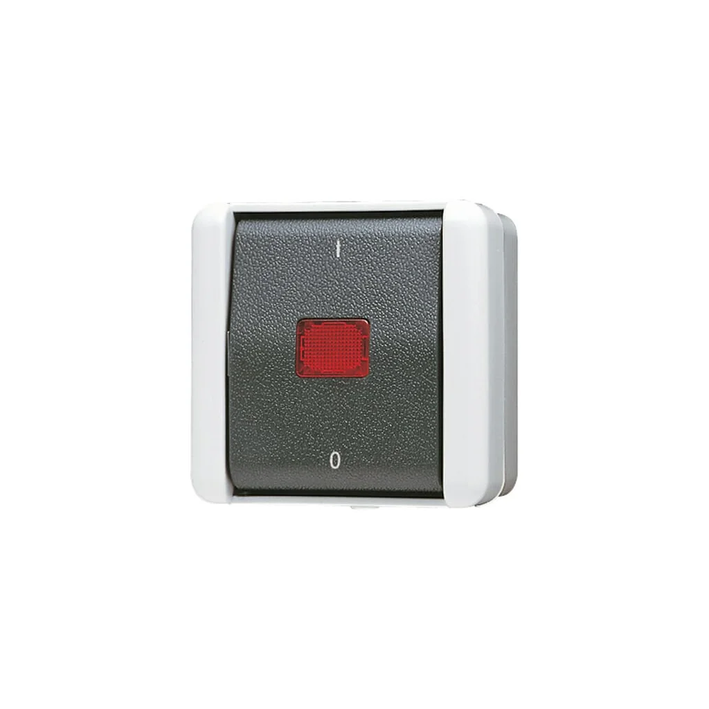 Comutator cu indicator luminos 802KOW