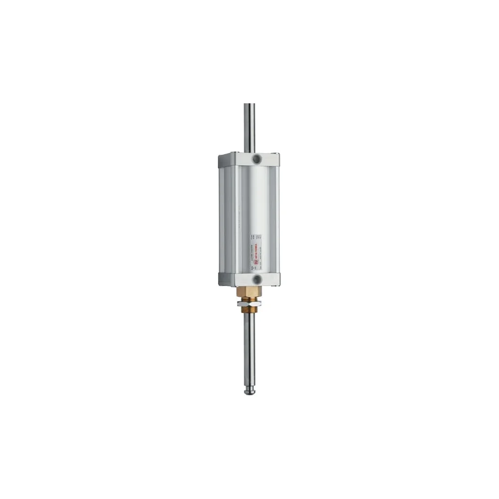 Cilindru pneumatic 8" + tijă piston traversantă 8000572MZ