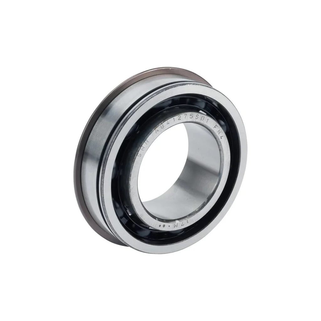 Rulment 81104580