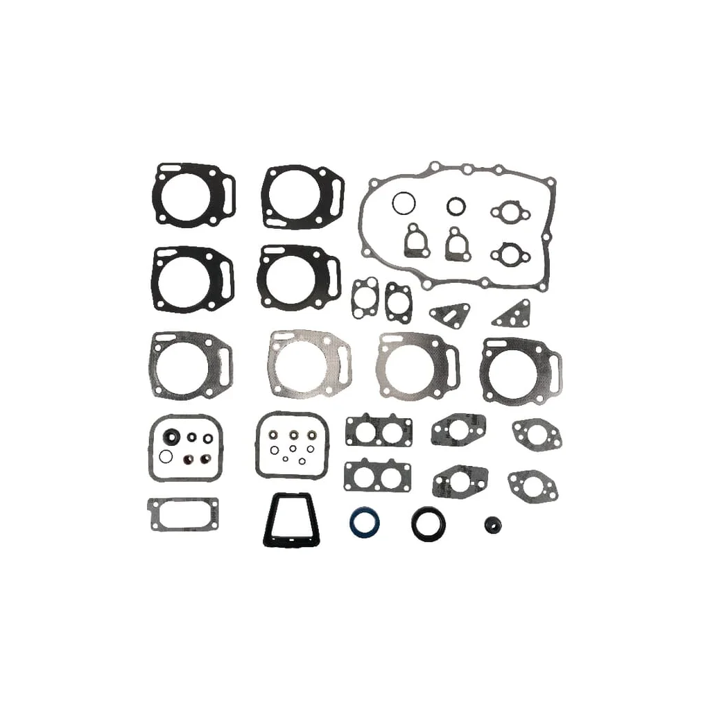 Set garnituri motor 84010903