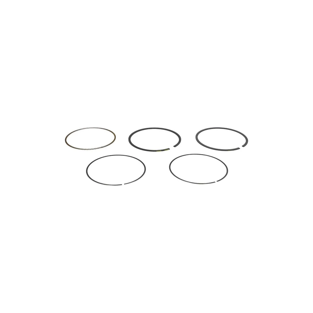 Set segmenti piston 020 792643
