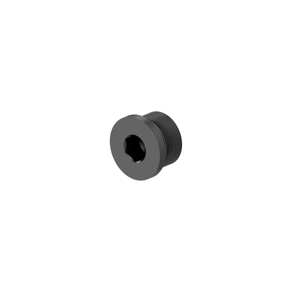 Dop filetat cap cilindric orificiu hexagonal DIN908 8109020194