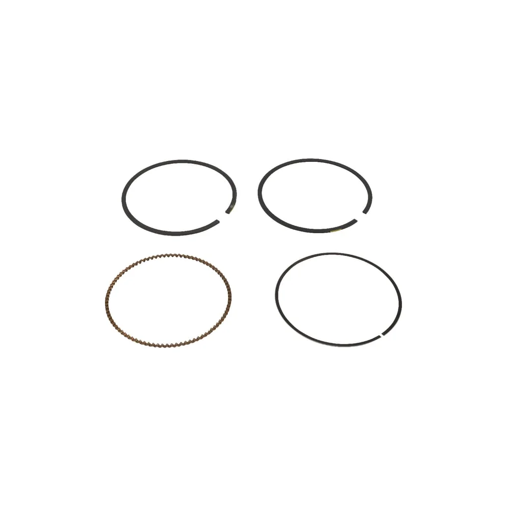 Set segmenți piston standard 791787