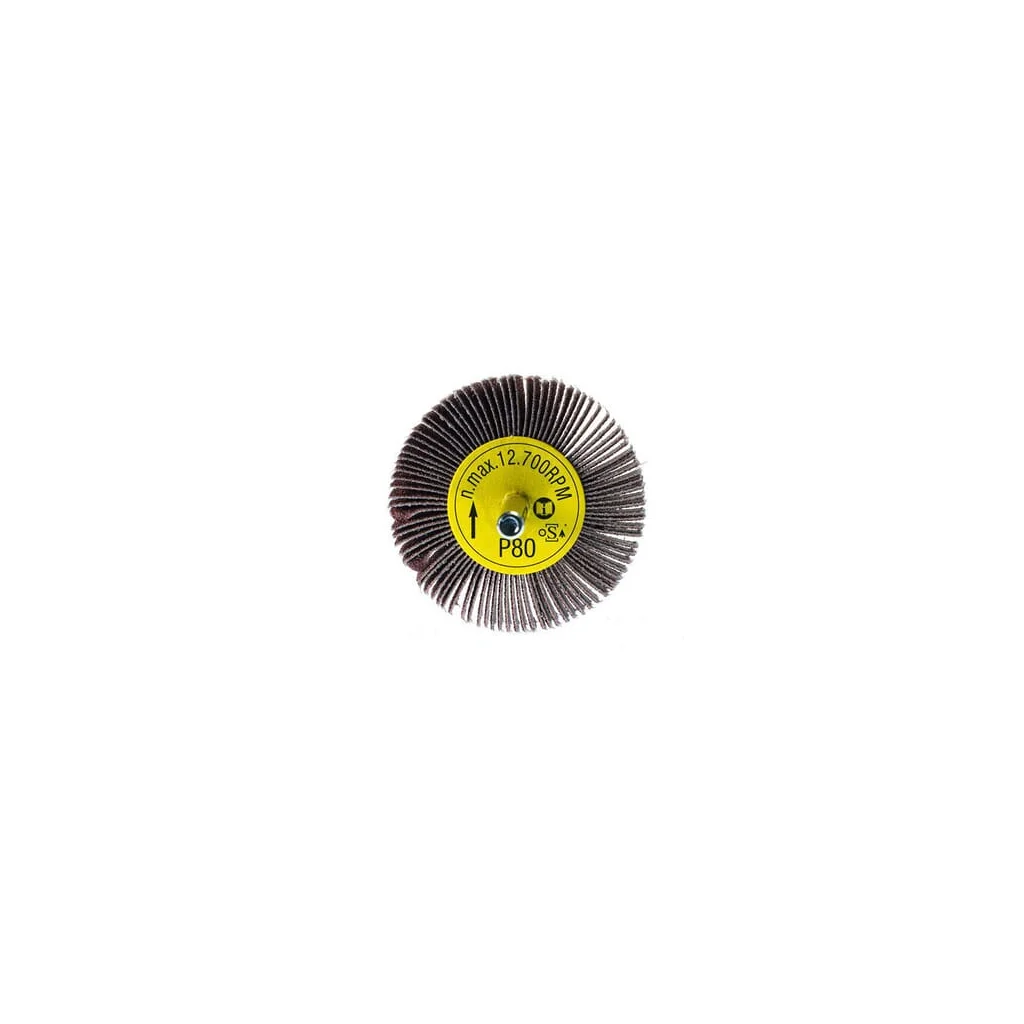 Disc abraziv lamelar RTT 60x15x6mm K80 8201533