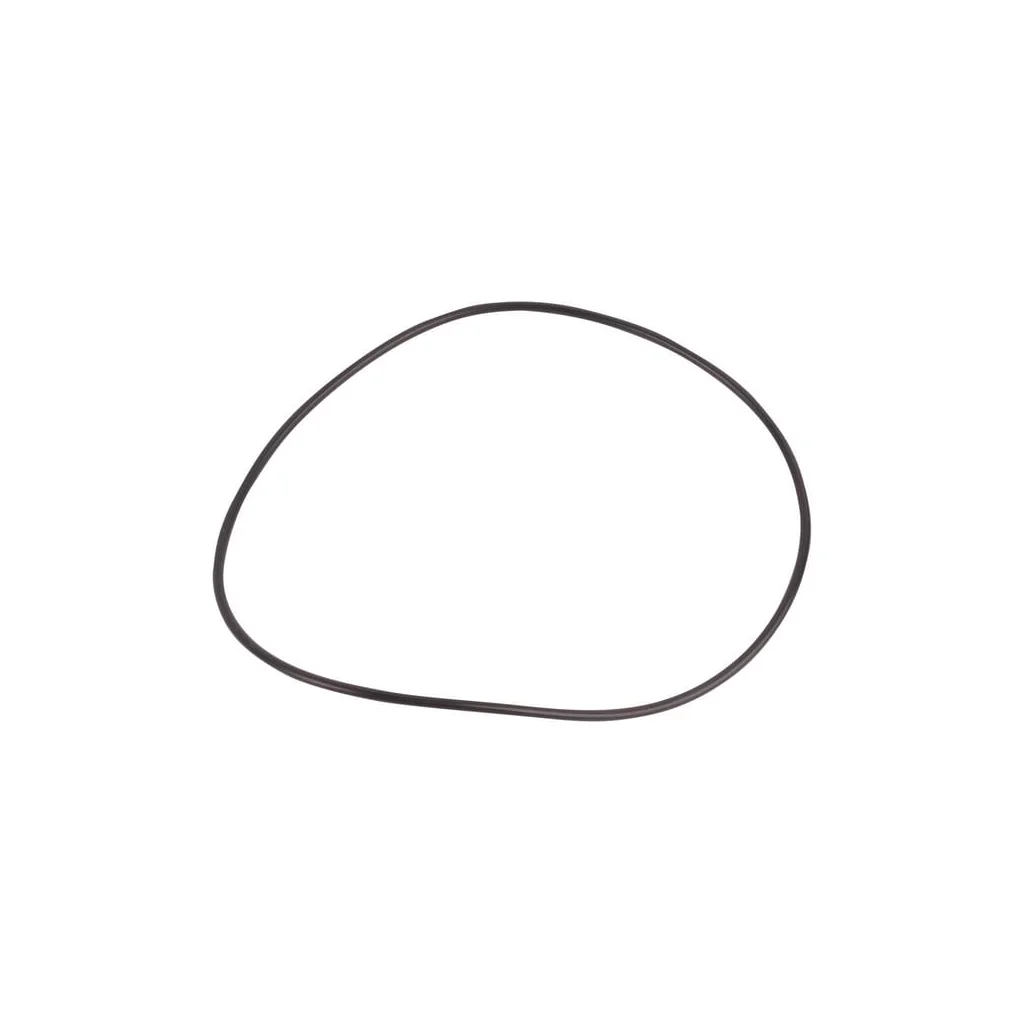 O-ring 85807794