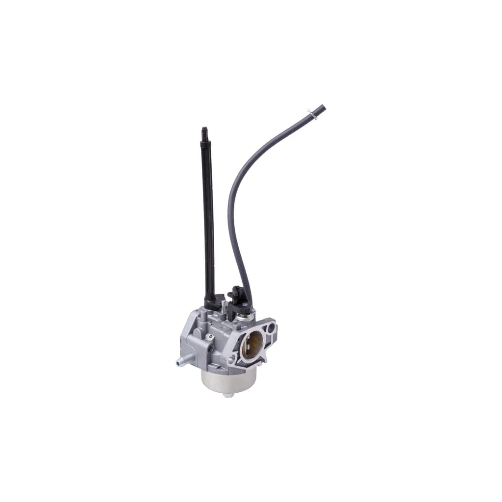 Carburator 84005069