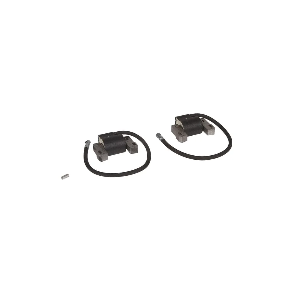 Bobină de aprindere Briggs & Stratton 843860WM