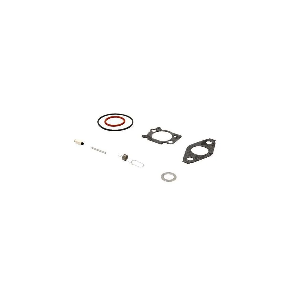 Kit de reparare carburator 793622