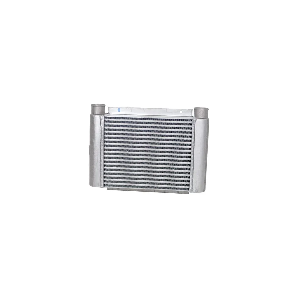 Intercooler 87541604N