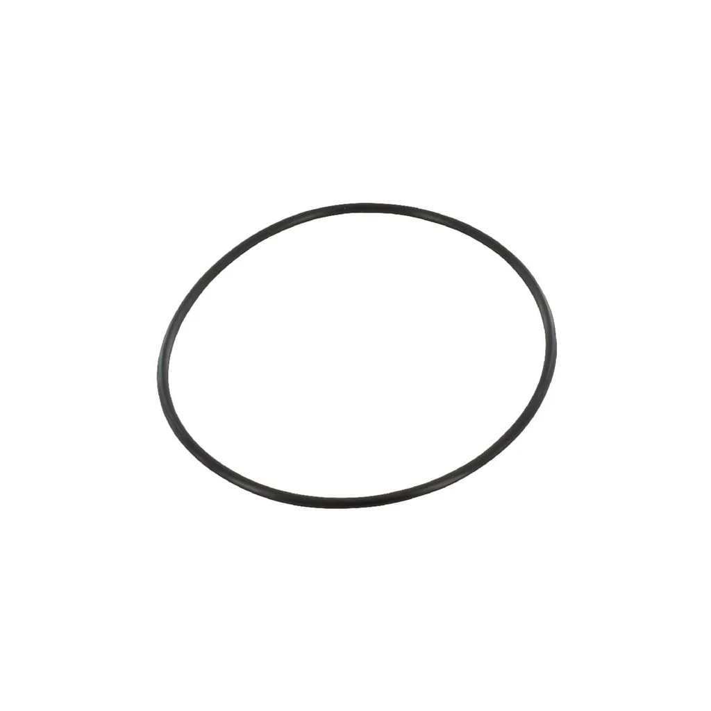 O-ring 87840712