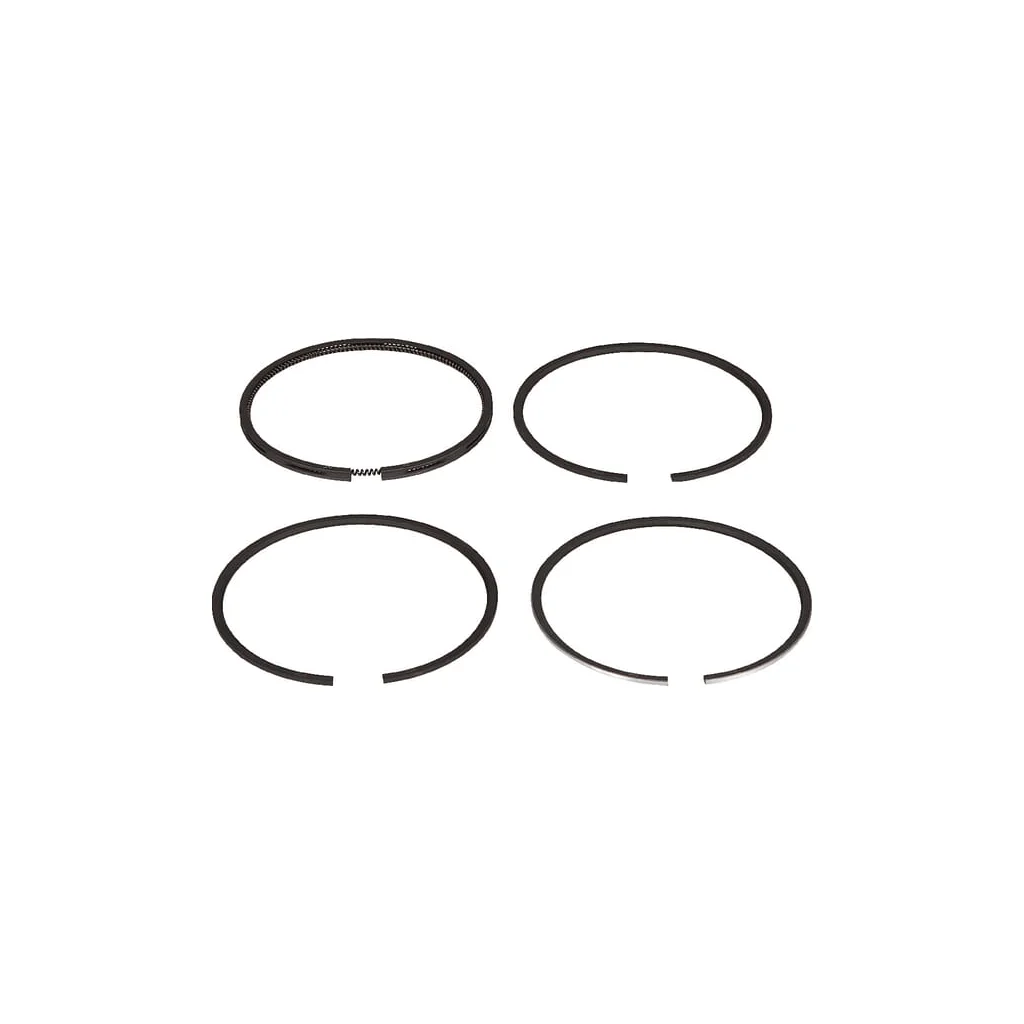 Set segmenti piston Std 8210055