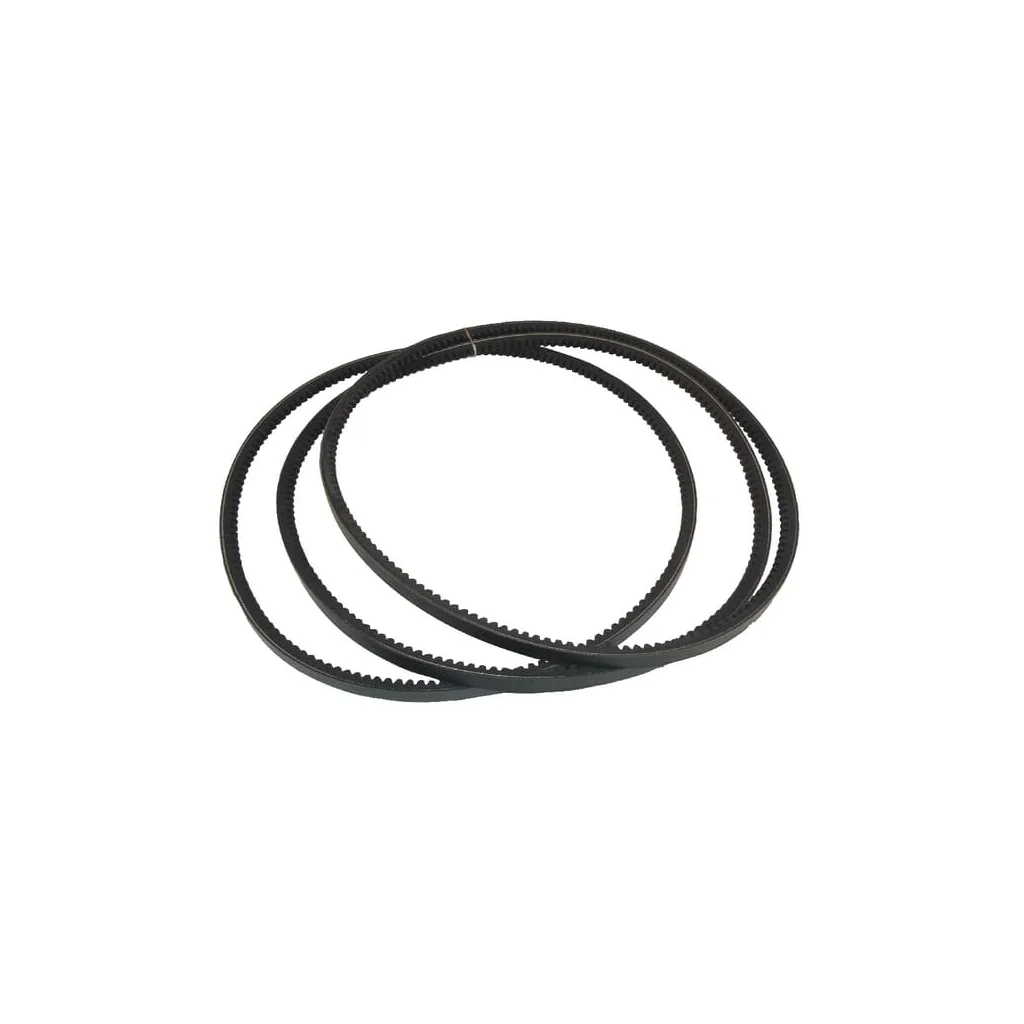Set curele de transmisie trapezoidale (4) 83101791