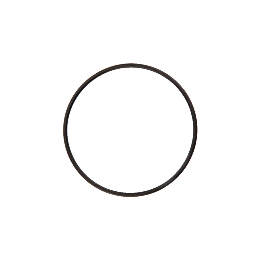 O-ring 82068590