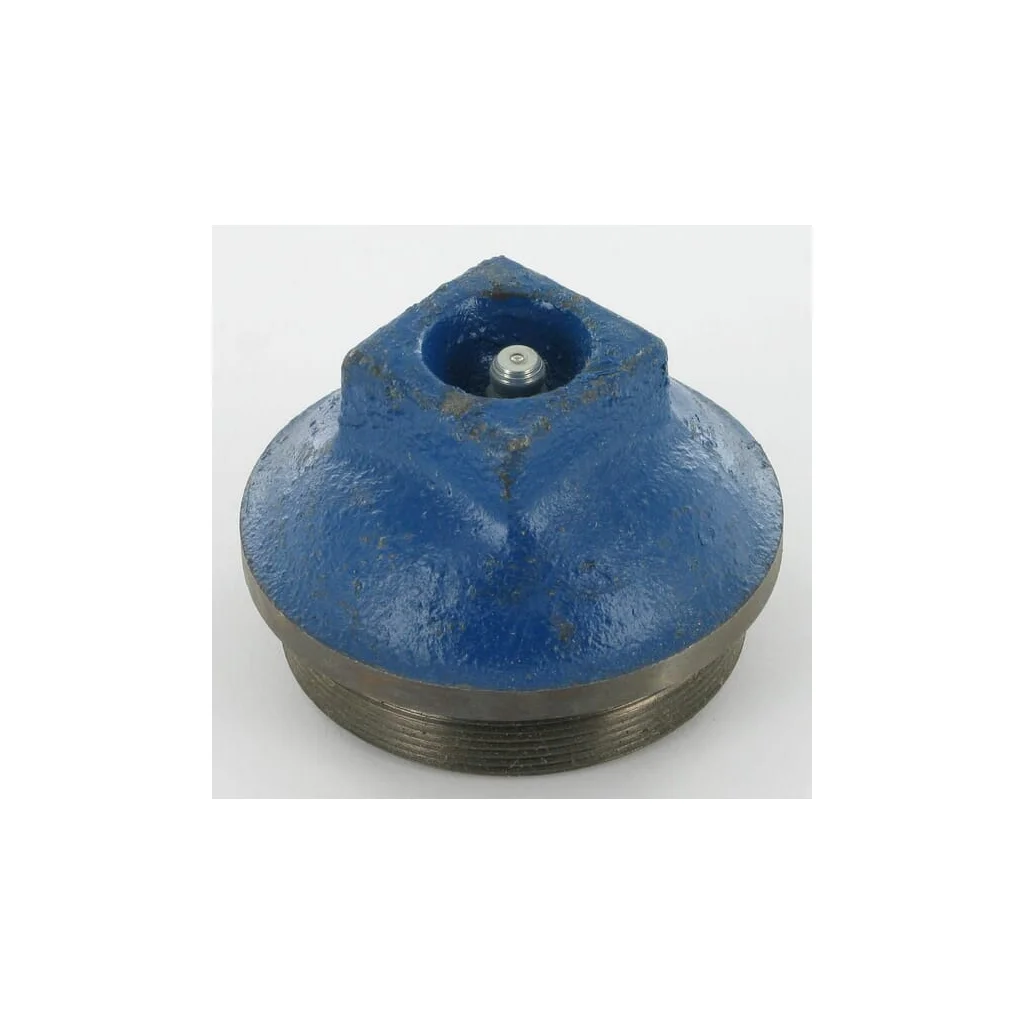 Capac butuc New Holland 81802363N