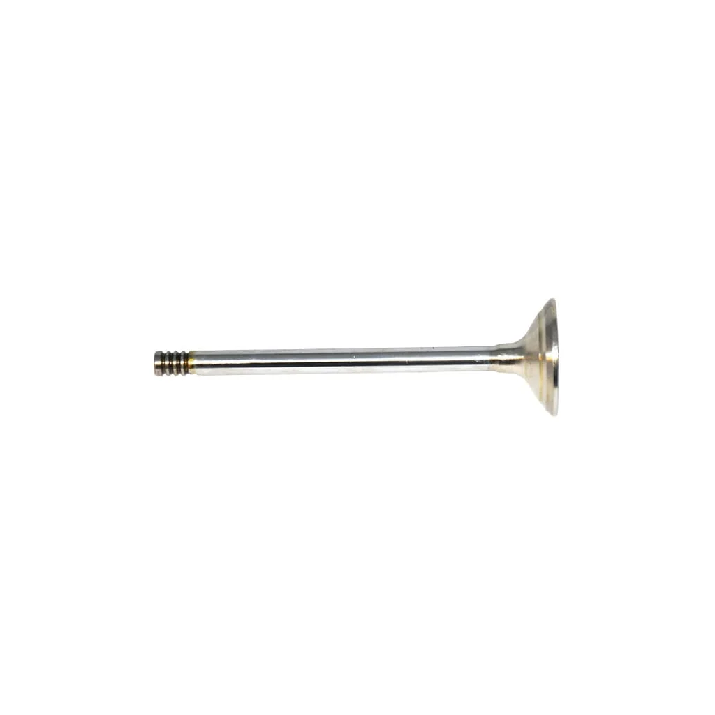 Supapă de admisie standard New Holland 87802256