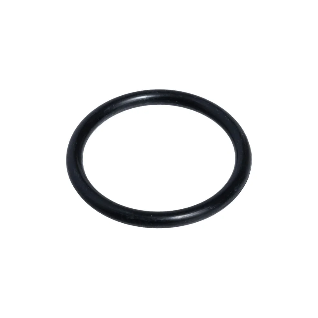 O-ring 84579780