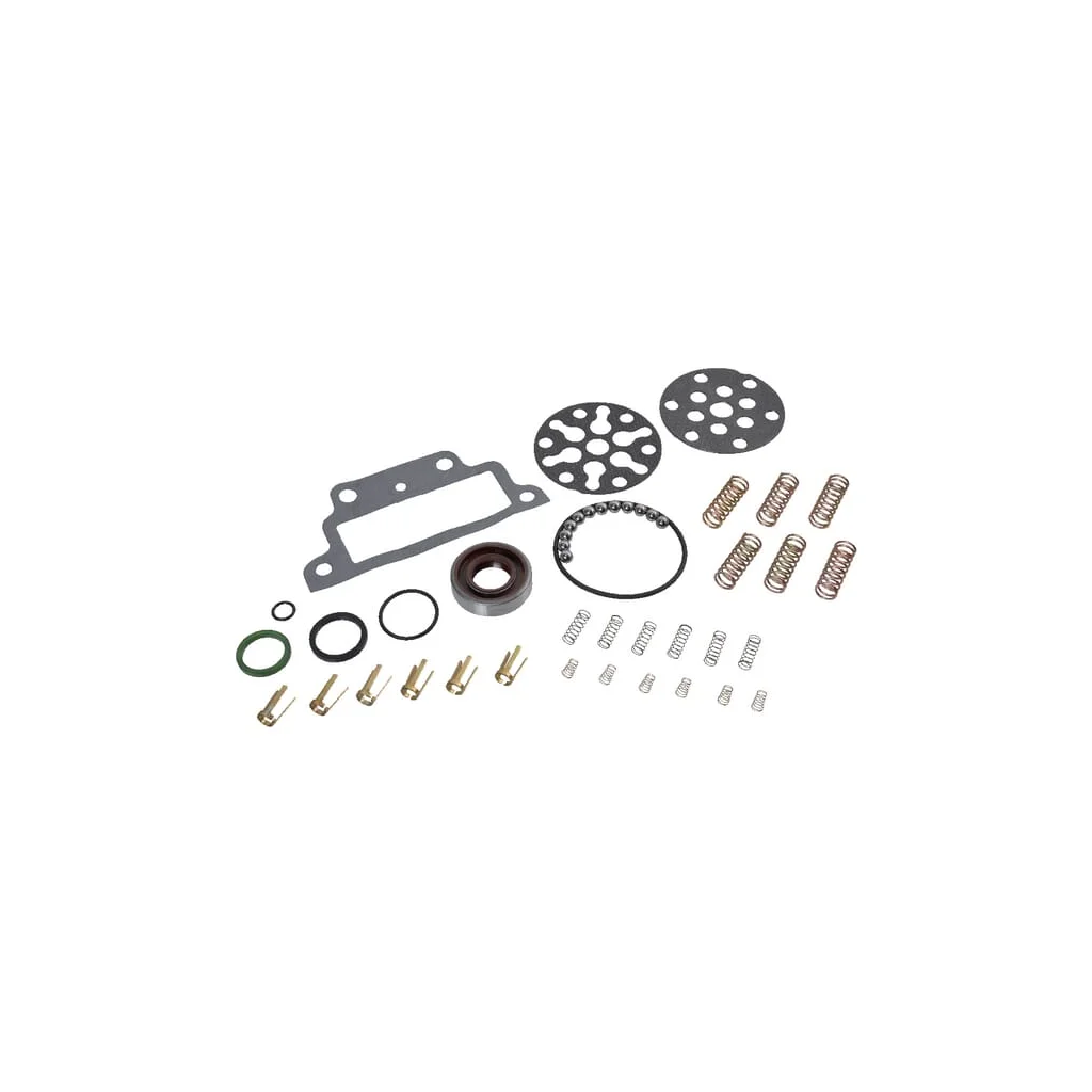 Set pentru reparaţii pompă hidraulică 81821107N