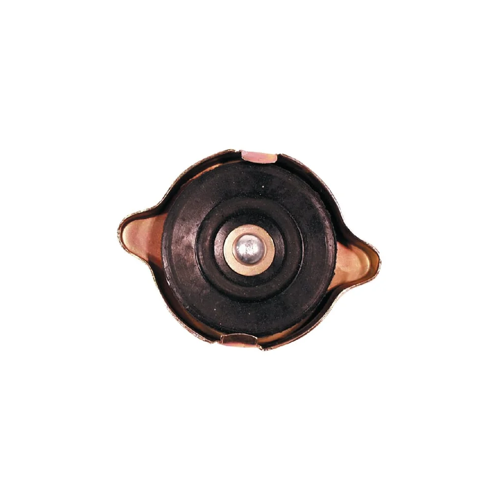 Capac de alimentare ulei 81717845N