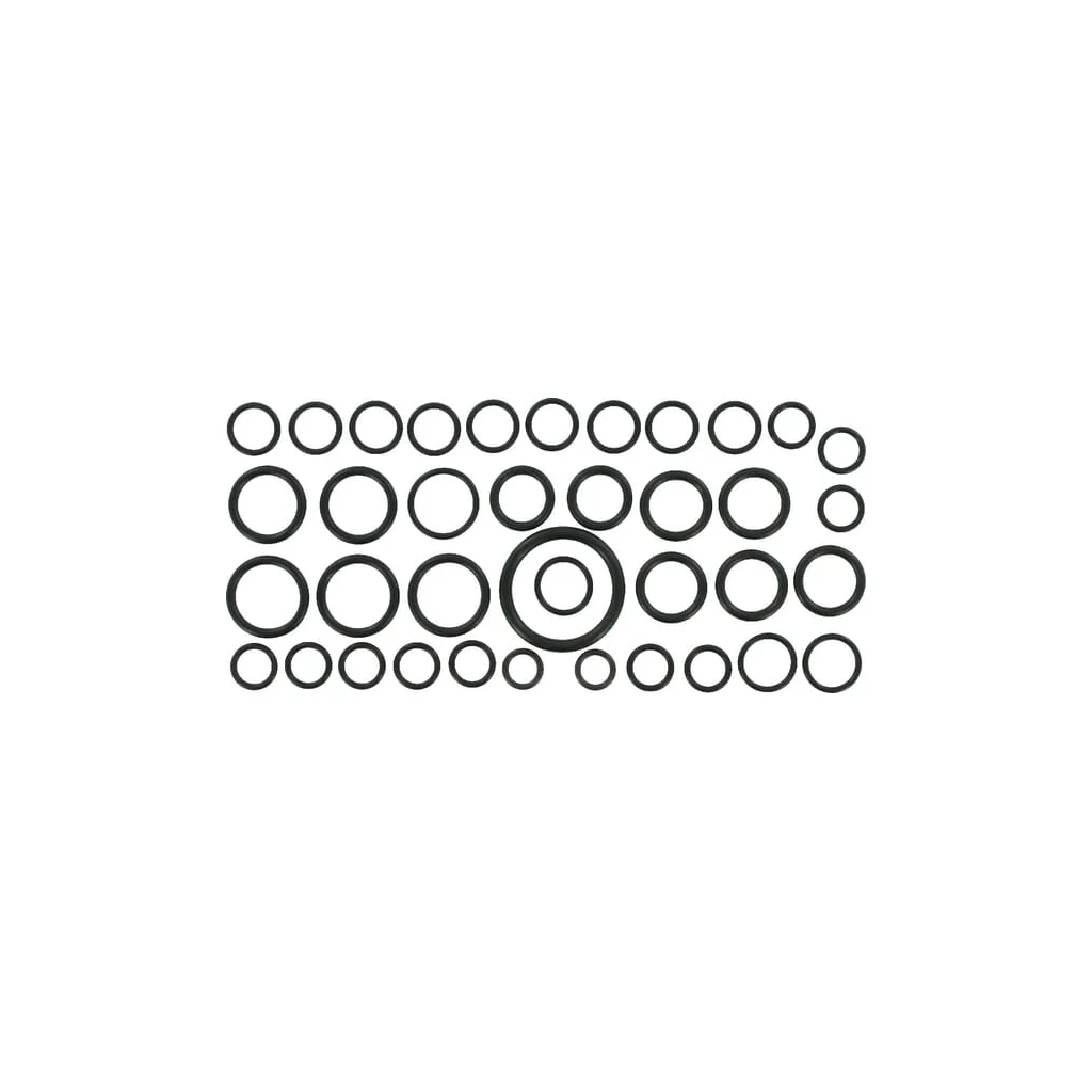 Set o-ring 81825774N