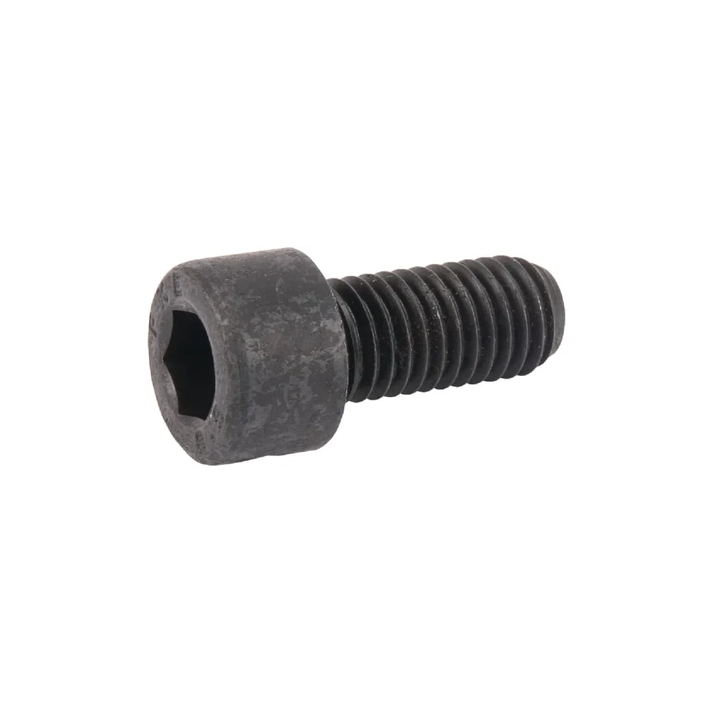 [AMAT2-221023] Șurub cap cilindric orificiu hexagonal M10x22mm grupa 8.8 Lely 9105700091