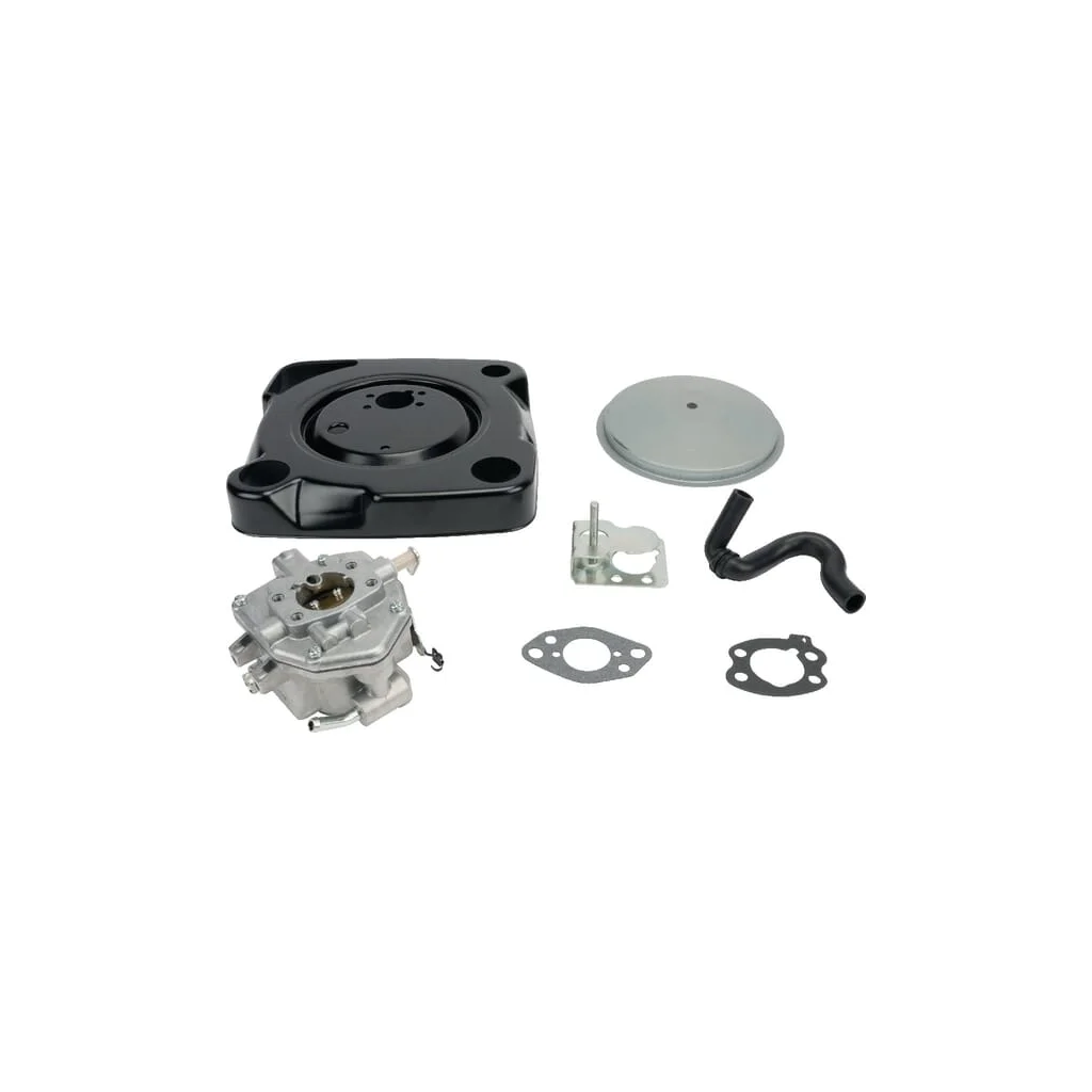 Carburator 846082